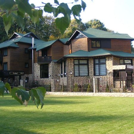 Hotel Hillden Lodge&Restaurant Drumu Carului Ngoại thất bức ảnh