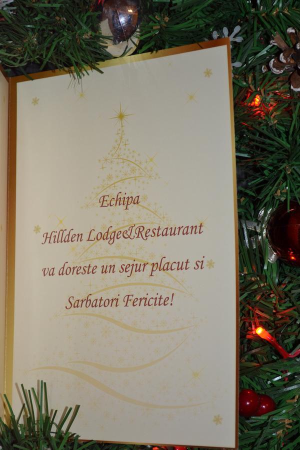 Hotel Hillden Lodge&Restaurant Drumu Carului Ngoại thất bức ảnh